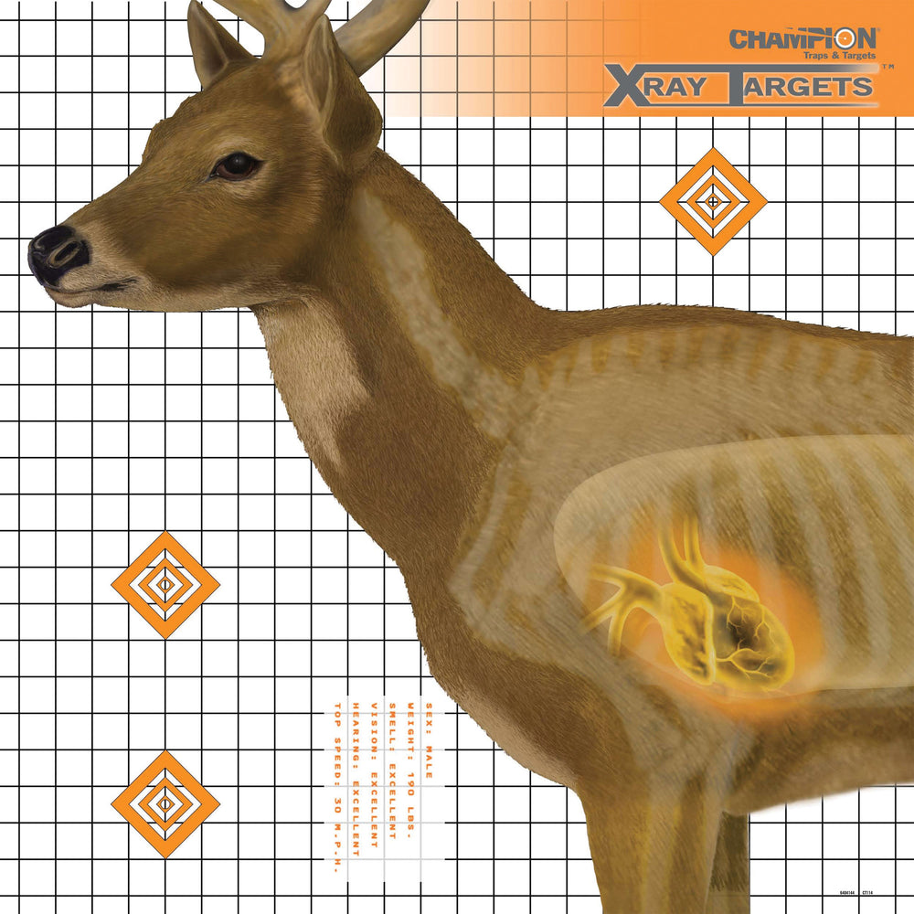 Champion Deer X-ray Target 6-pk