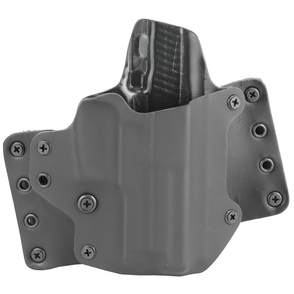 Blk Pnt Lthr Wing Sig P229 Rh Blk